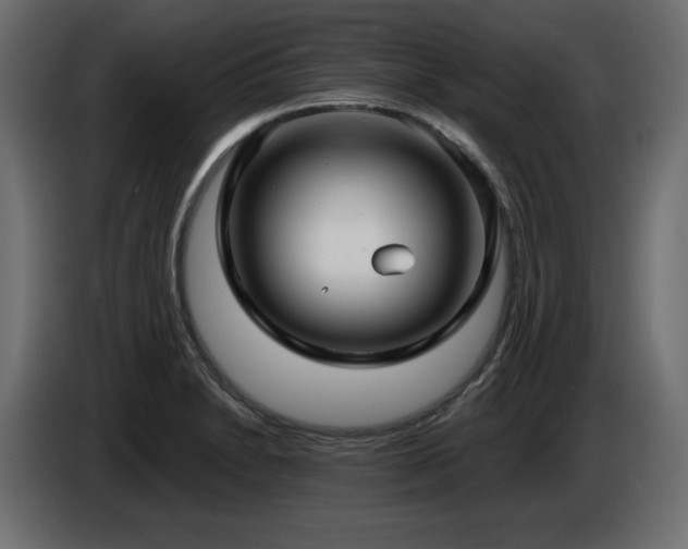 X0000086731230200704131059