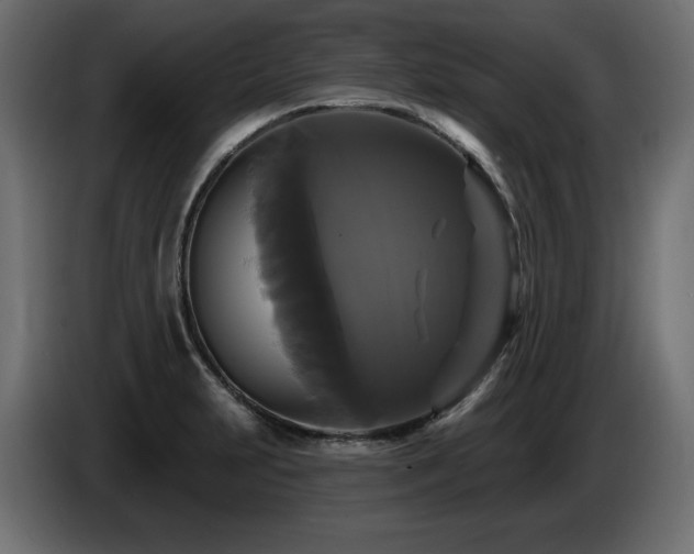 X0000086731231200704131059