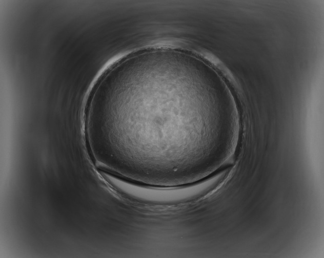 X0000086731232200704131059