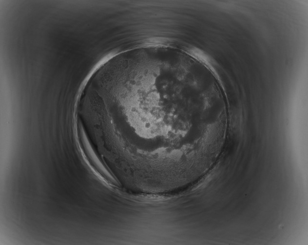X0000086731235200704131059