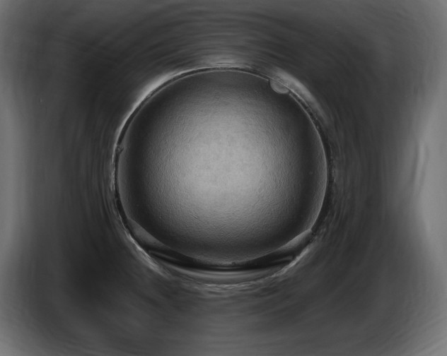 X0000086731236200704131059