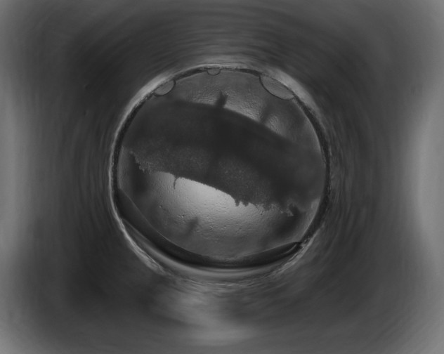 X0000086731237200704131059