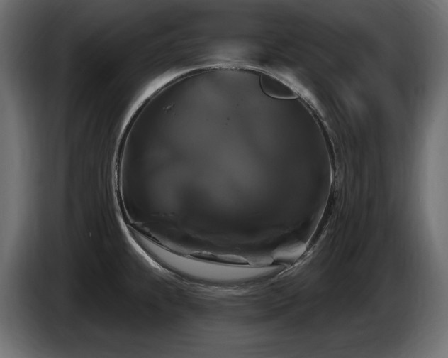 X0000086731239200704131059