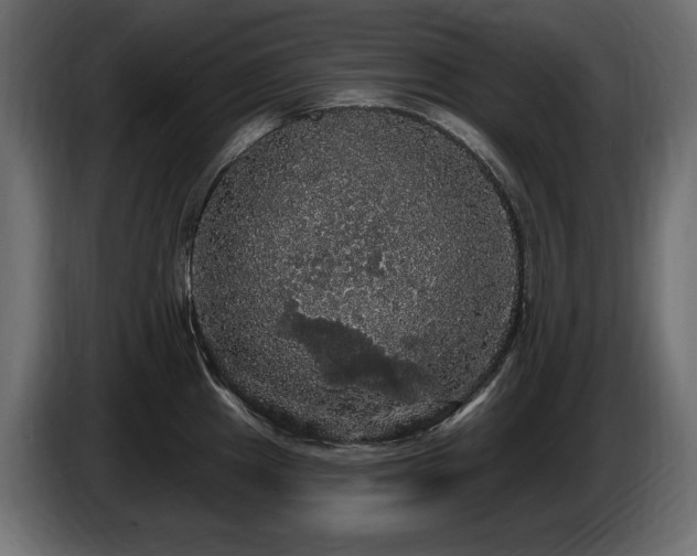 X0000086731241200704131059
