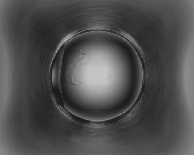 X0000086731242200704131059
