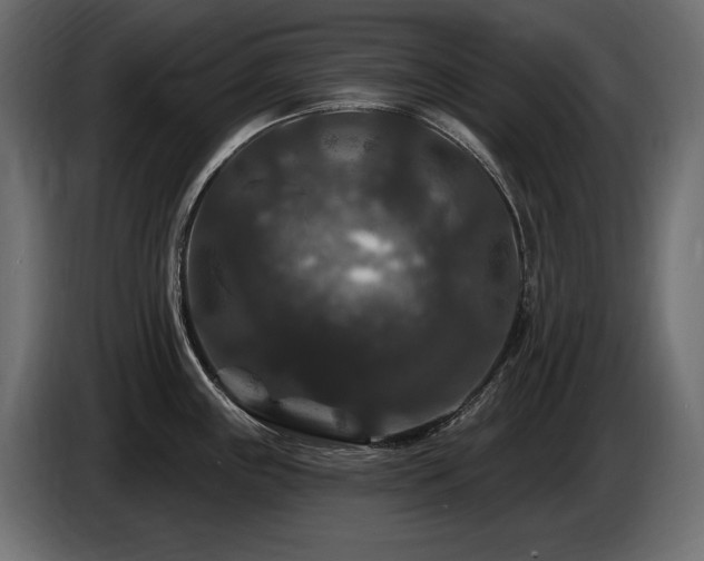 X0000086731243200704131059
