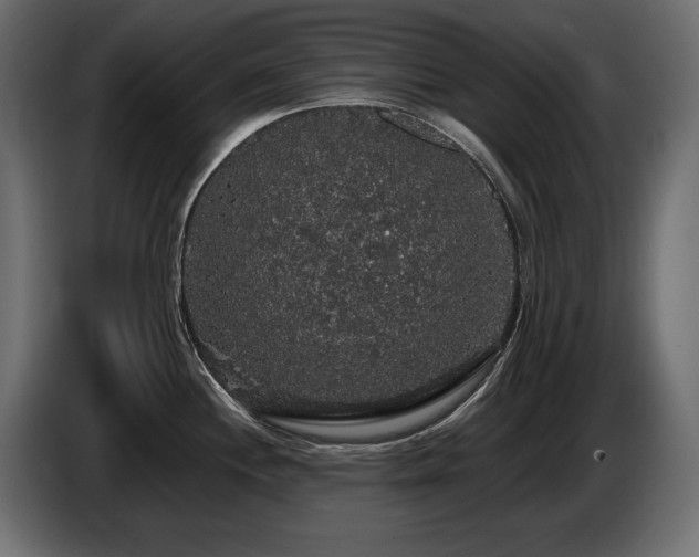 X0000086731244200704131059