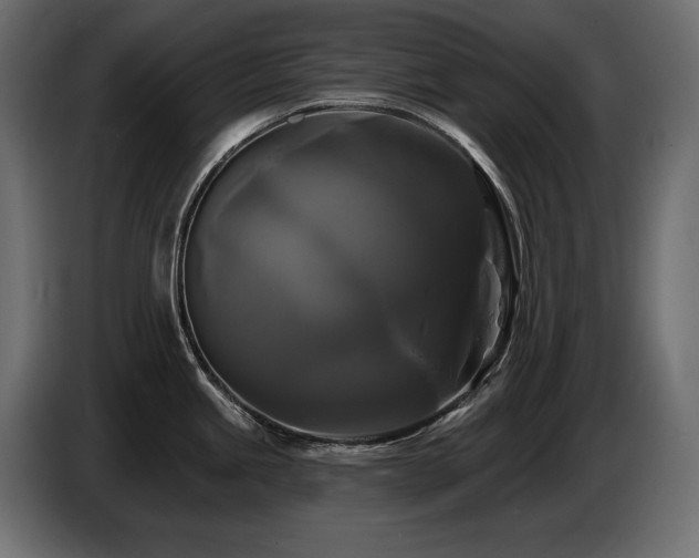 X0000086731245200704131059