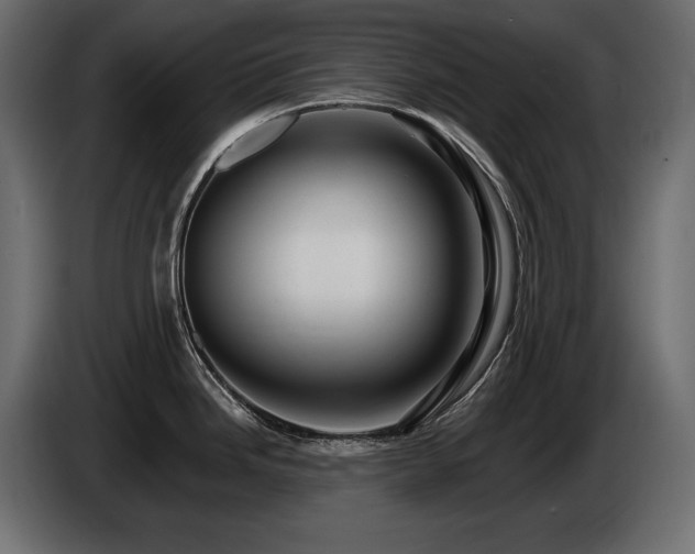 X0000086731246200704131059