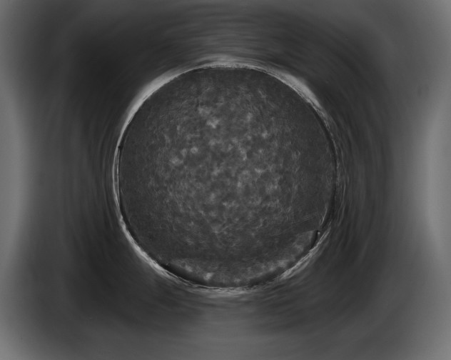 X0000086731247200704131059