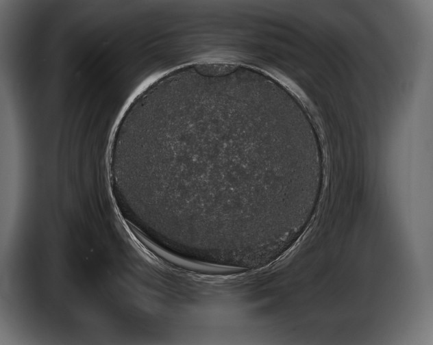 X0000086731248200704131059