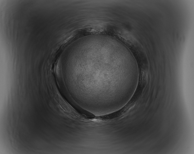 X0000086731250200704131059
