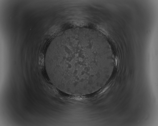 X0000086731251200704131059