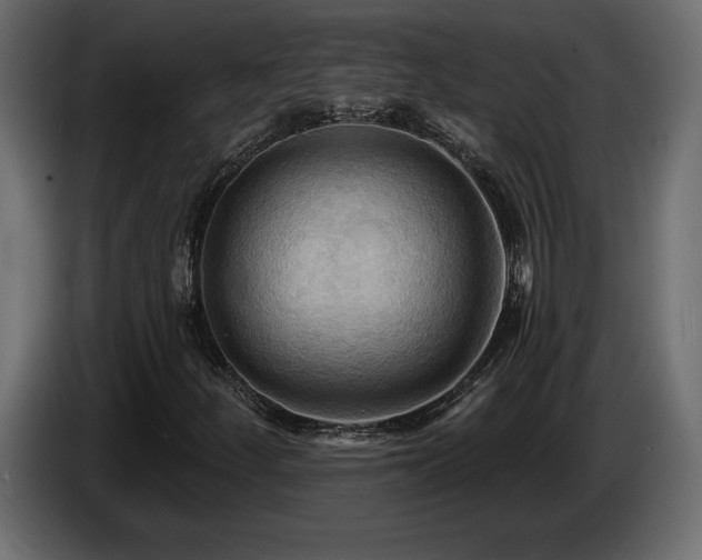 X0000086731252200704131059