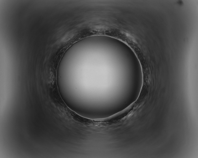 X0000086731253200704131059
