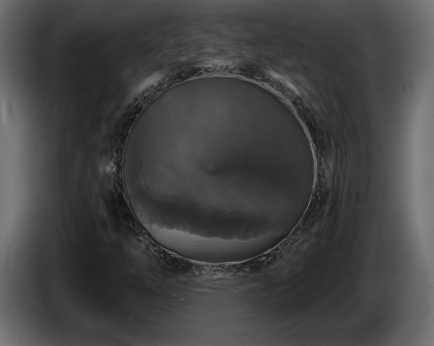 X0000086731254200704131059