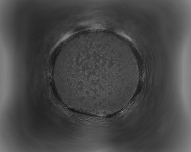 X0000086731255200704131059