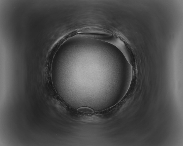X0000086731256200704131059