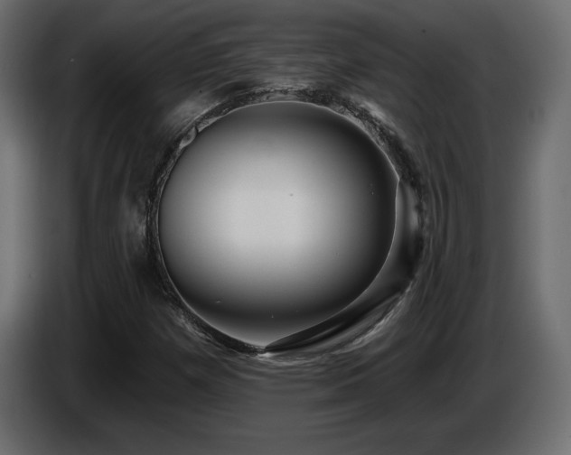 X0000086731257200704131059