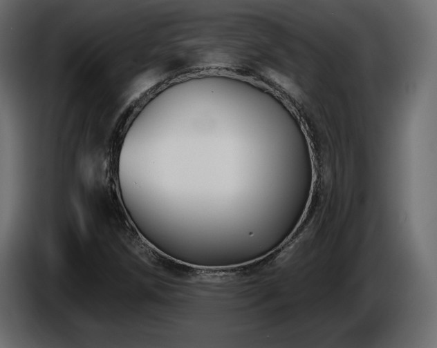 X0000086731258200704131059