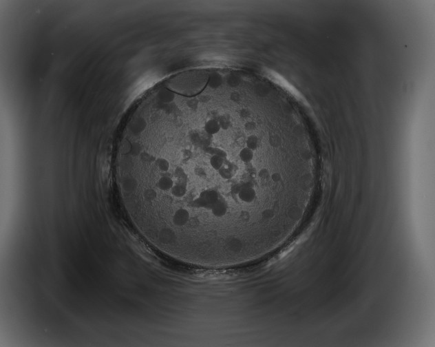 X0000086731259200704131059