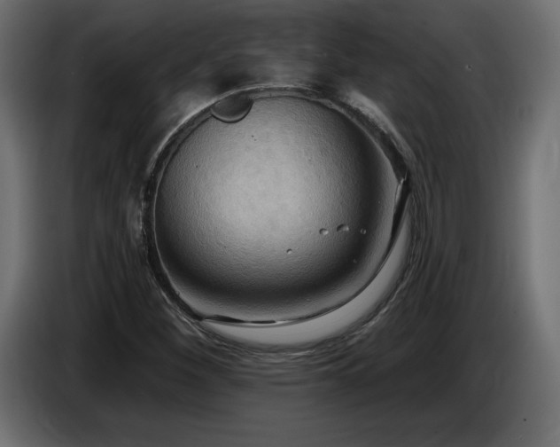 X0000086731260200704131059