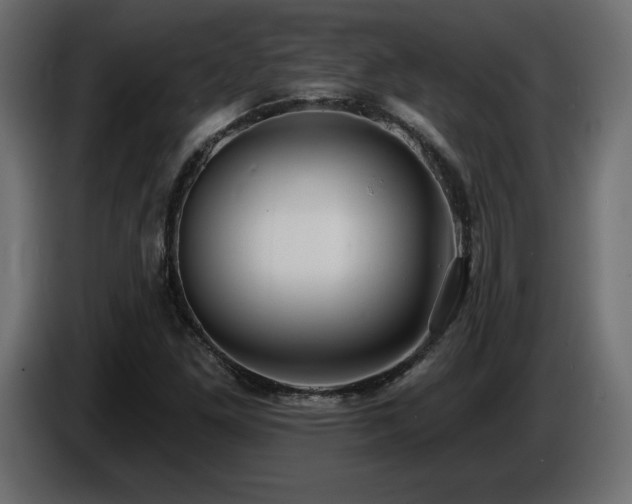 X0000086731261200704131058