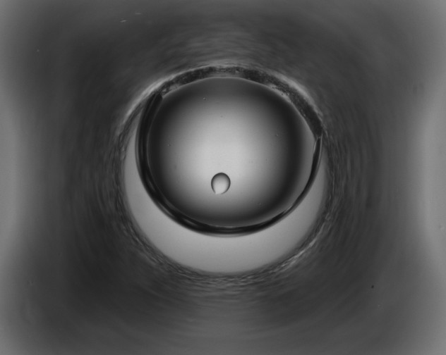 X0000086731263200704131058