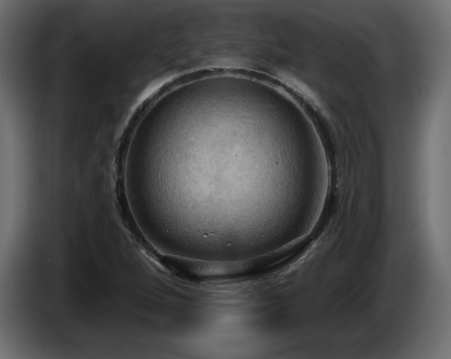 X0000086731264200704131058
