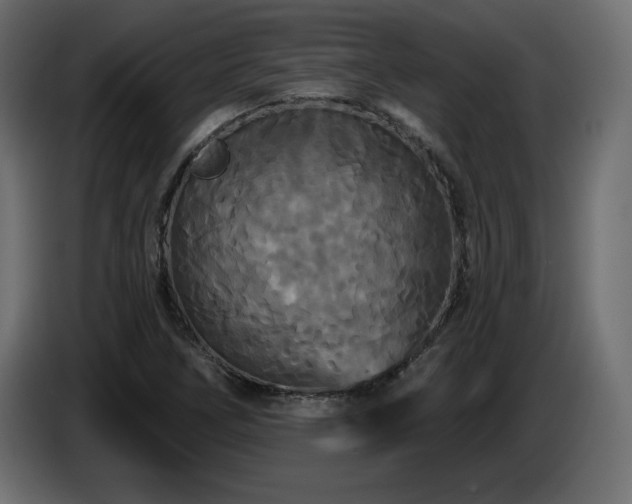 X0000086731266200704131058