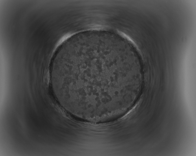 X0000086731267200704131058