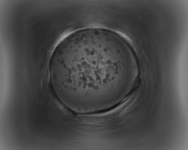 X0000086731271200704131058