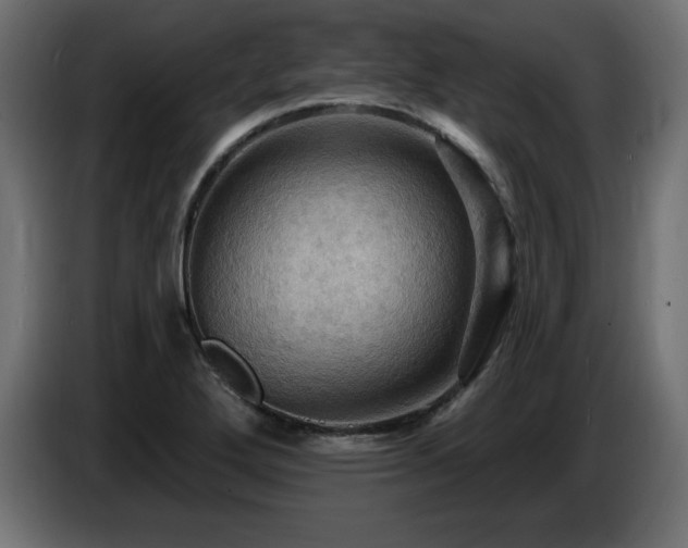 X0000086731272200704131058