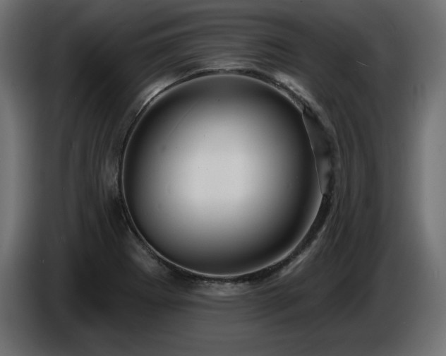 X0000086731273200704131058