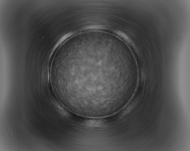 X0000086731274200704131058