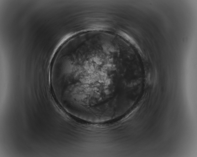 X0000086731275200704131058