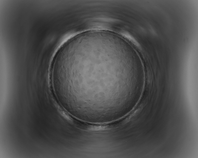 X0000086731278200704131058