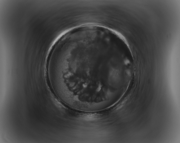 X0000086731279200704131058