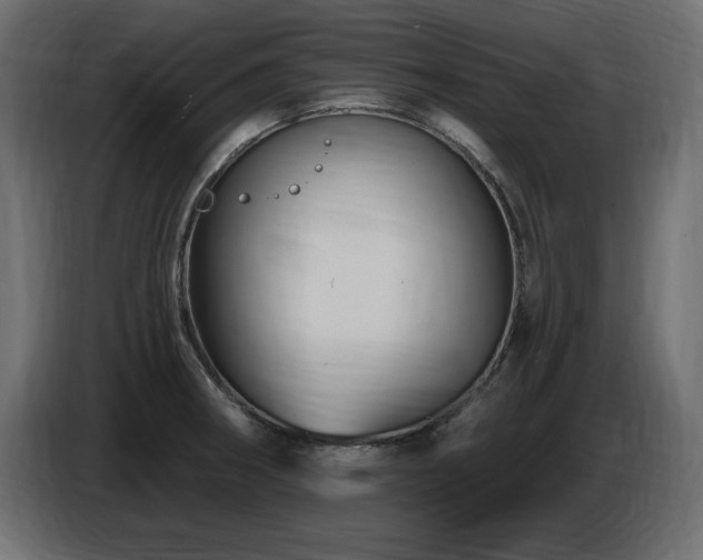 X0000086731282200704131058