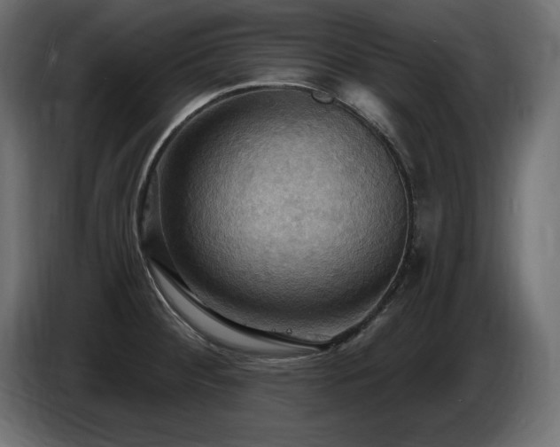 X0000086731284200704131058