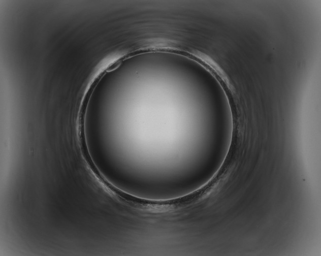 X0000086731285200704131058