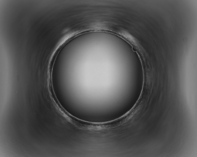 X0000086731286200704131058