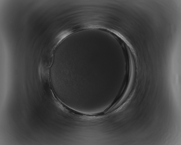 X0000086731289200704131058