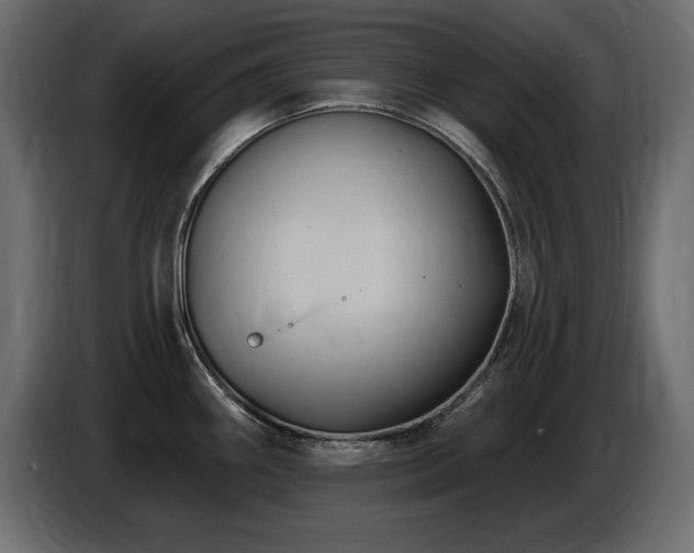 X0000086731290200704131058