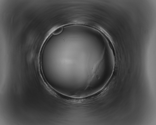 X0000086731291200704131058