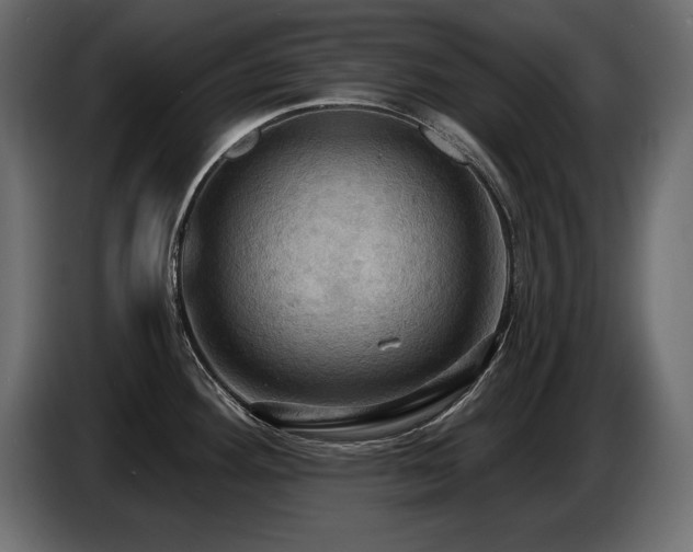 X0000086731292200704131058
