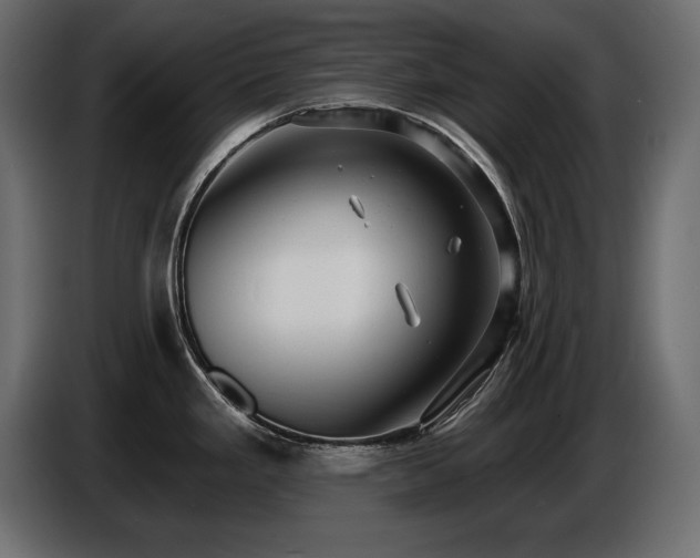 X0000086731293200704131058
