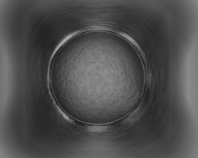 X0000086731294200704131058