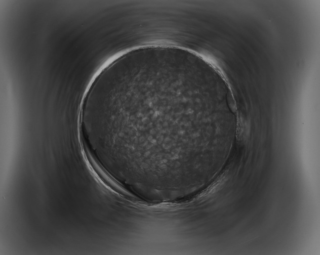 X0000086731295200704131058