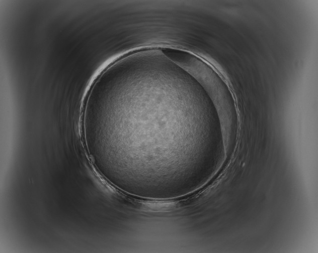 X0000086731296200704131058